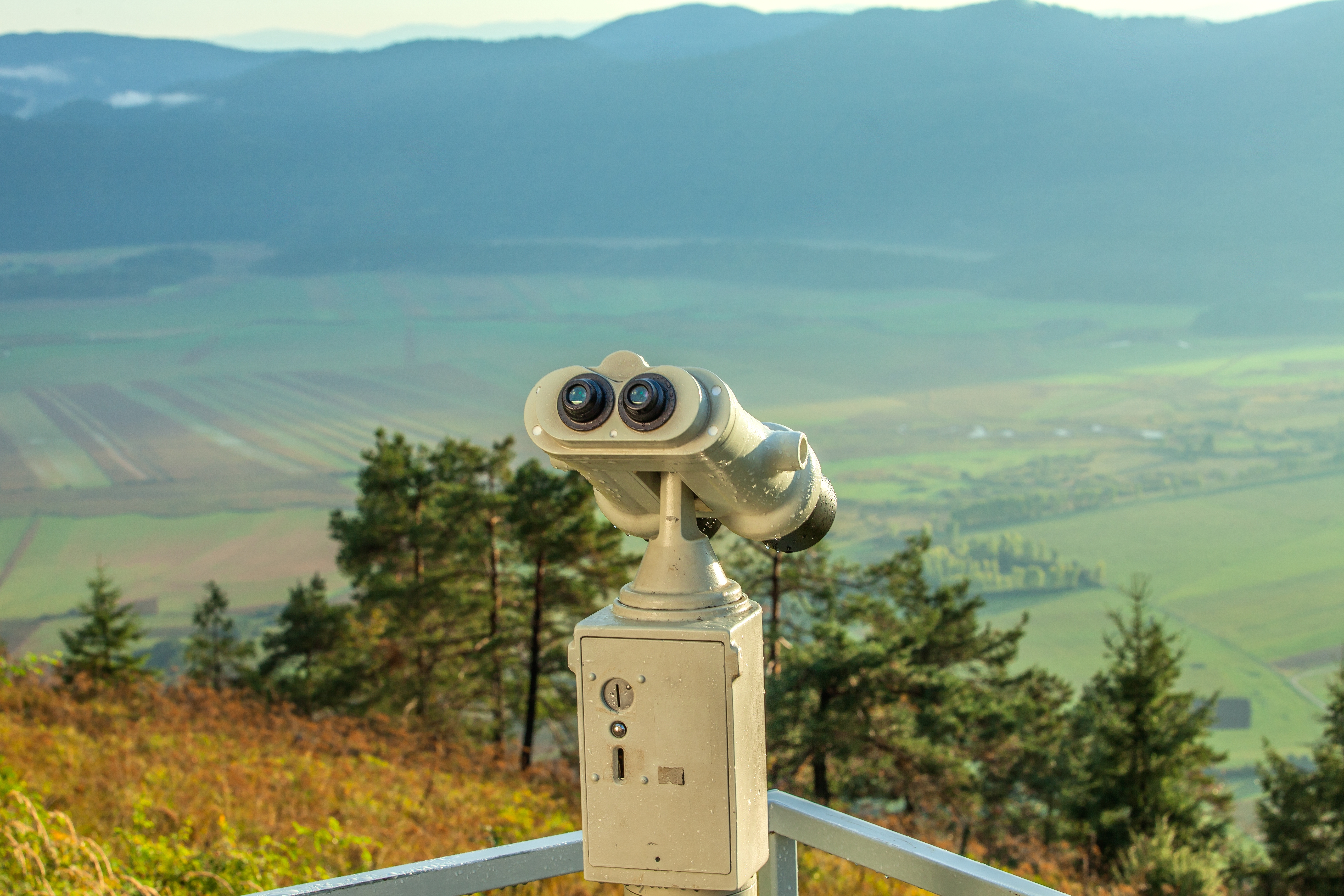 Topographical Survey